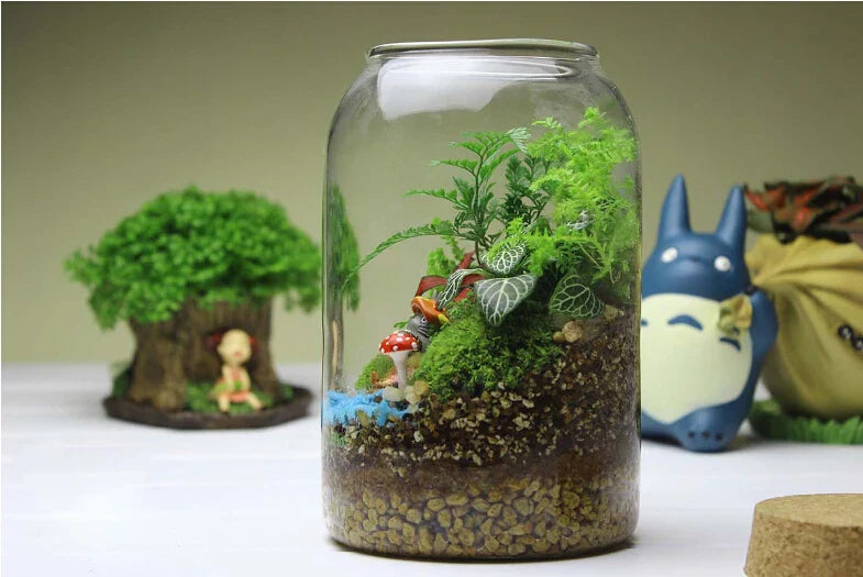 Vaso in vetro per terrario con fondo rotondo fatto a mano Kit per terrario di succulente Autunno 2025 Decorazione da tavolo per la casa Regalo
