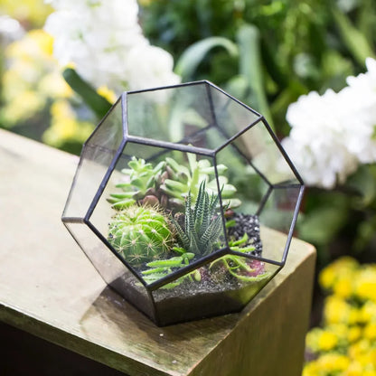 Glass Terrarium Gold Geometric Planter Modern Desktop Plant Display Fall 2025, Succulent Bonsai Gift