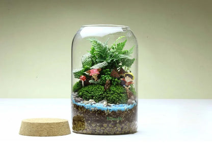 Vaso in vetro per terrario con fondo rotondo fatto a mano Kit per terrario di succulente Autunno 2025 Decorazione da tavolo per la casa Regalo
