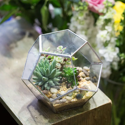 Glass Terrarium Gold Geometric Planter Modern Desktop Plant Display Fall 2025, Succulent Bonsai Gift