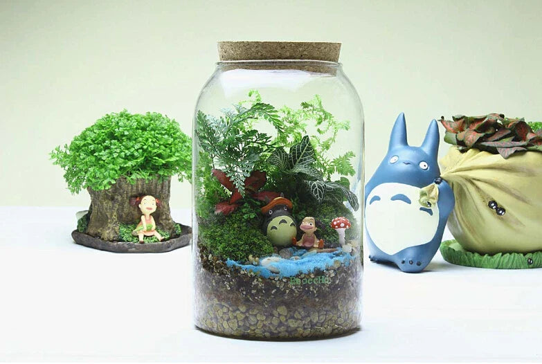 Vaso in vetro per terrario con fondo rotondo fatto a mano Kit per terrario di succulente Autunno 2025 Decorazione da tavolo per la casa Regalo