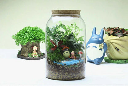 Vaso in vetro per terrario con fondo rotondo fatto a mano Kit per terrario di succulente Autunno 2025 Decorazione da tavolo per la casa Regalo