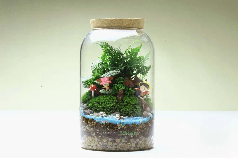 Vaso in vetro per terrario con fondo rotondo fatto a mano Kit per terrario di succulente Autunno 2025 Decorazione da tavolo per la casa Regalo