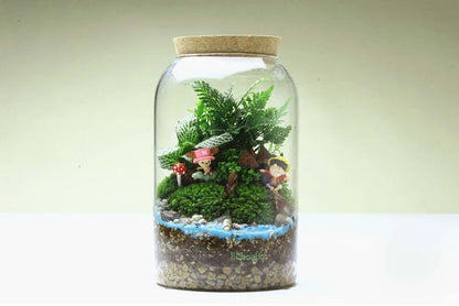 Vaso in vetro per terrario con fondo rotondo fatto a mano Kit per terrario di succulente Autunno 2025 Decorazione da tavolo per la casa Regalo
