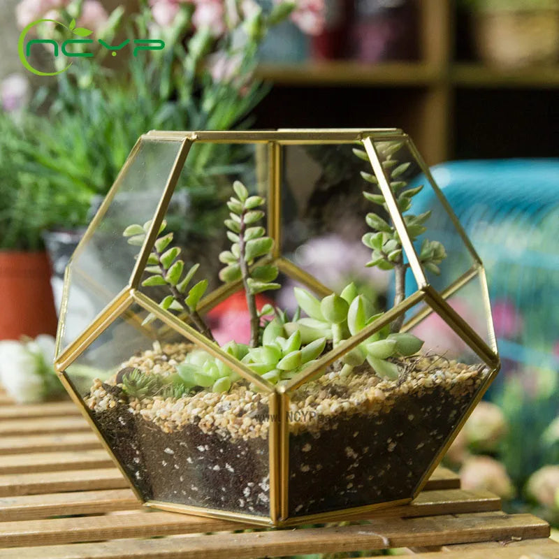 Glass Terrarium Gold Geometric Planter Modern Desktop Plant Display Fall 2025, Succulent Bonsai Gift