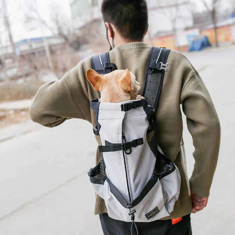 Hundeträger-Rucksack Atmungsaktiv Freihändiger Haustierträger Rucksack Herbst 2025 Outdoor Reise Komfort Kleine Hunde