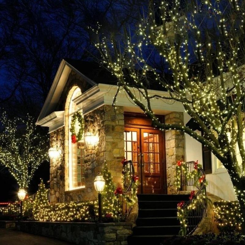 LED String Lights Indoor Outdoor Fairy Holiday Decor