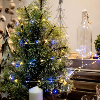 LED String Lights Indoor Outdoor Fairy Holiday Decor