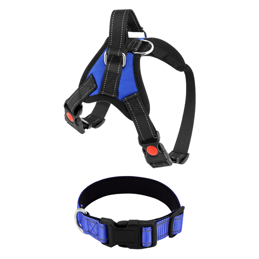 Pettorina per cani No-Choke Regolabile Pettorina di sicurezza Tendenza Autunno 2025 Imbottitura traspirante per un controllo delicato
