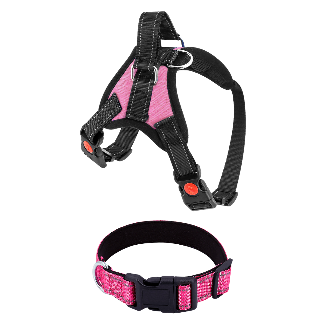 Pettorina per cani No-Choke Regolabile Pettorina di sicurezza Tendenza Autunno 2025 Imbottitura traspirante per un controllo delicato