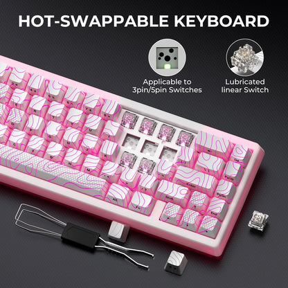 Mechanisch Toetsenbord M67 67 Toetsen Pakking Hot Swappable RGB
