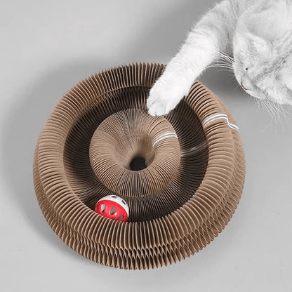 Foldable cardboard cat scratcher with catnip and bell – multi-level kitten claw toy 2026