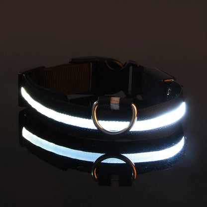 LED Dog Collar Glow In The Dark Night Safety Luminous Fall 2026 Trend Perfect Gift Idea