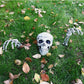 Halloween Skeleton Graveyard Decoration Set – 3-Piece Skeleton Prop with Skull and Hands for Outdoor Lawn, Haunted Houses, and Party Decor