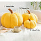 Plush Pumpkin Cushion – Cozy Sherpa & Boucle Throw Pillow for Fall & Halloween Home Decor, Ideal Gift for Kids and Babies