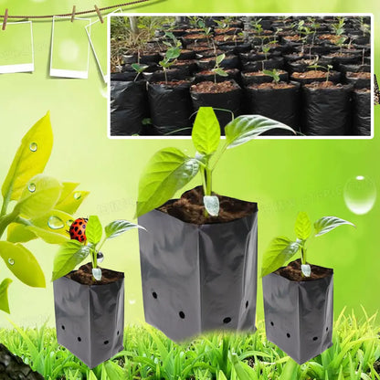 Breathable PE Seedling Nursery Bags - 100/200PCS Garden Tools for Vegetable Planting