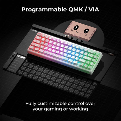 Mechanisch Toetsenbord M67 67 Toetsen Pakking Hot Swappable RGB