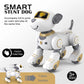 Programmable Voice Command RC Robot Dog - Interactive Stunt Toy for Kids, Musical Companion