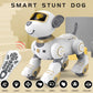 Programmable Voice Command RC Robot Dog - Interactive Stunt Toy for Kids, Musical Companion