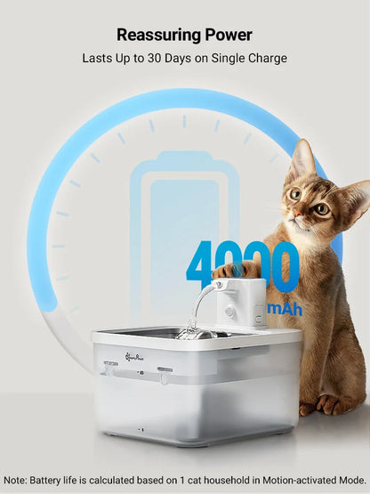Fontana per acqua per gatti 2.5L in acciaio inox distributore automatico con sensore senza fili batteria 4000mAh scadenza 2025 idratazione sana