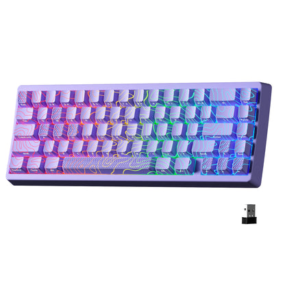 Mechanisch Toetsenbord M67 67 Toetsen Pakking Hot Swappable RGB