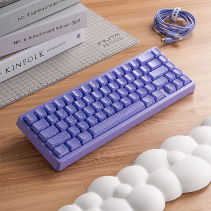 Mechanisch Toetsenbord M67 67 Toetsen Pakking Hot Swappable RGB