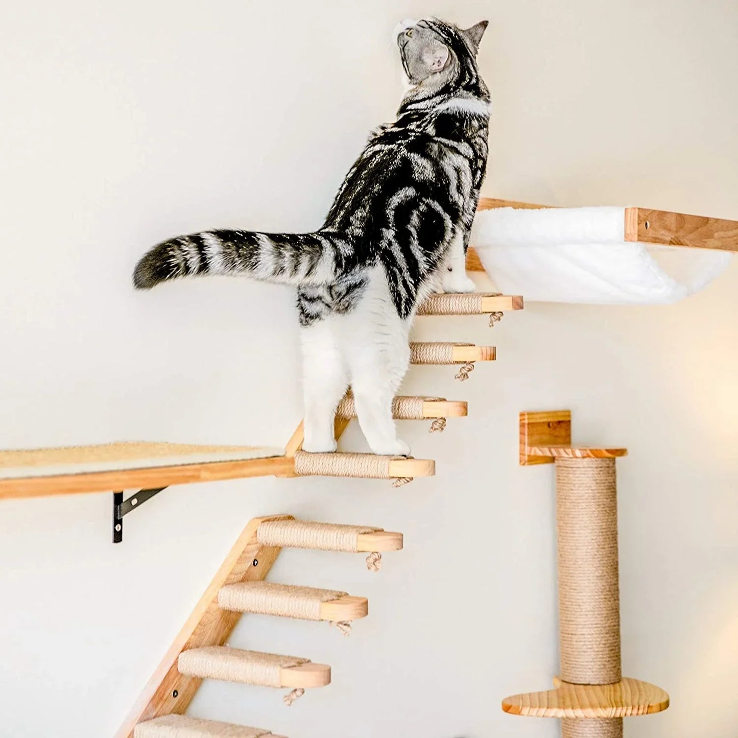 Cat Tree Wall Mounted Hammock Set Vertical Climbing Cat Furniture Fall 2025 Space Saving Scratching Playground