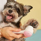 Silicone Pet Paw Cleaner & Massage Brush - Dual-Sided Dog Grooming Tool for Healthy Coats