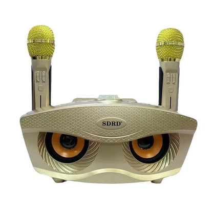 Bluetooth Karaoke Speaker 30W Portable System Home Party Karaoke Machine Dual Microphones TikTok Viral Fall 2025 Gift