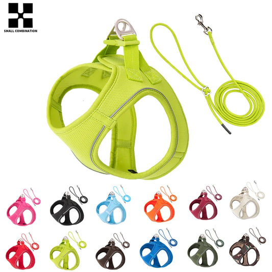 Dog Harness Leash Set Reflective Padded Vest All Seasons Outdoor Walking Gift Idea
