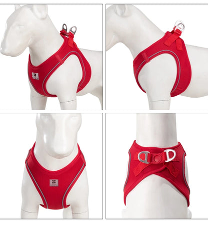 Dog Harness Leash Set Reflective Padded Vest All Seasons Outdoor Walking Gift Idea