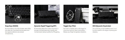 Teclado Mecánico Magnético Hot Swap 60 Porciento 8000Hz