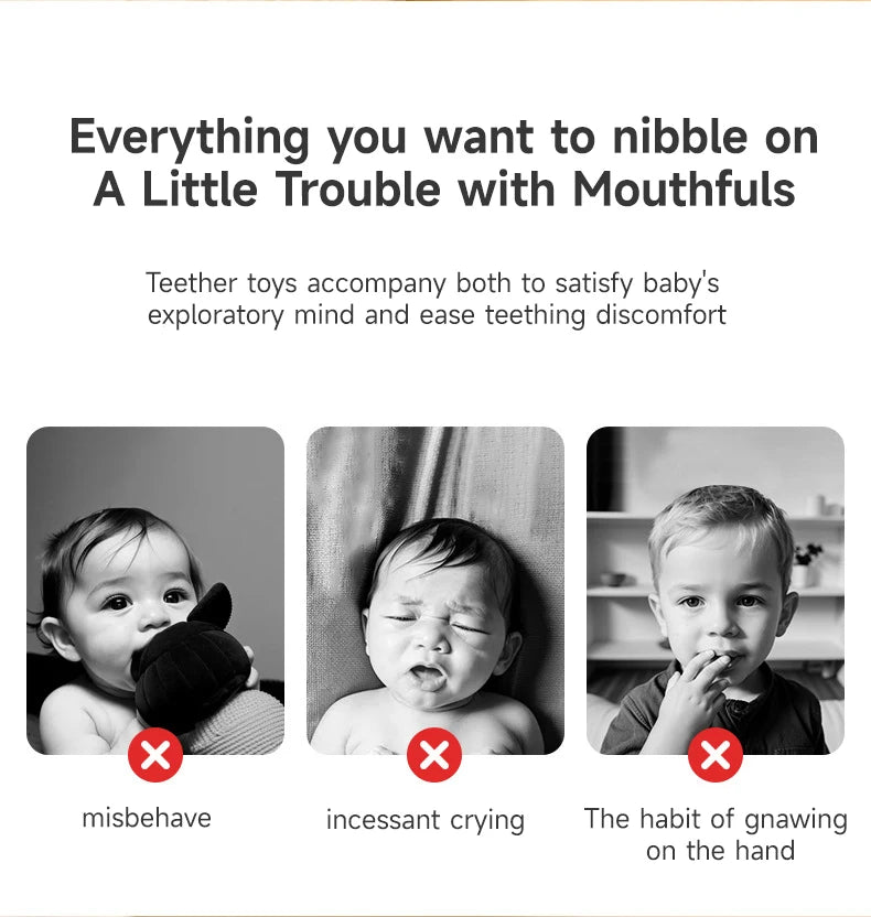 Baby Teether Rattle Hand Grip Sensory Ball Toy Newborn