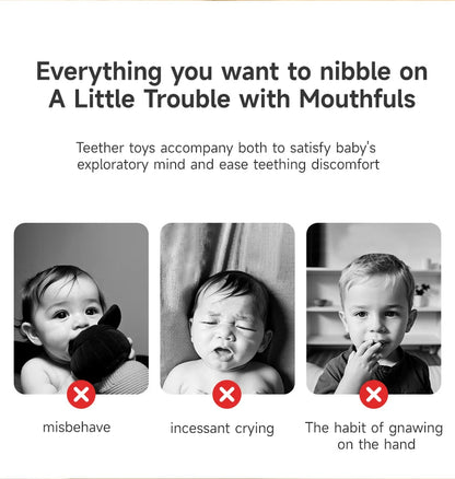 Baby Teether Rattle Hand Grip Sensory Ball Toy Newborn