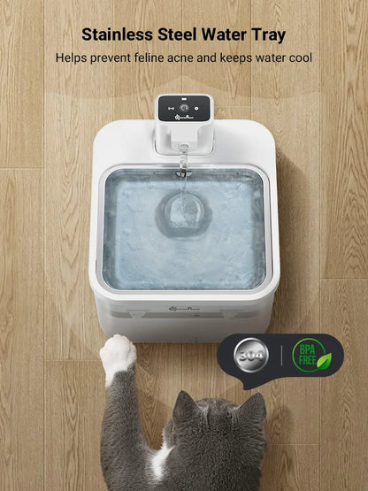 Fontana per acqua per gatti 2.5L in acciaio inox distributore automatico con sensore senza fili batteria 4000mAh scadenza 2025 idratazione sana
