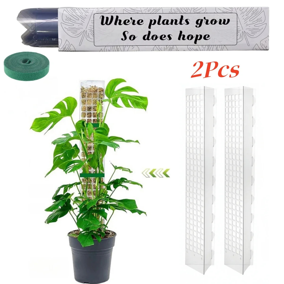 Indoor Moss Pole Garden Tools - 24-inch Plastic Plant Stand for Climbing Plants Support