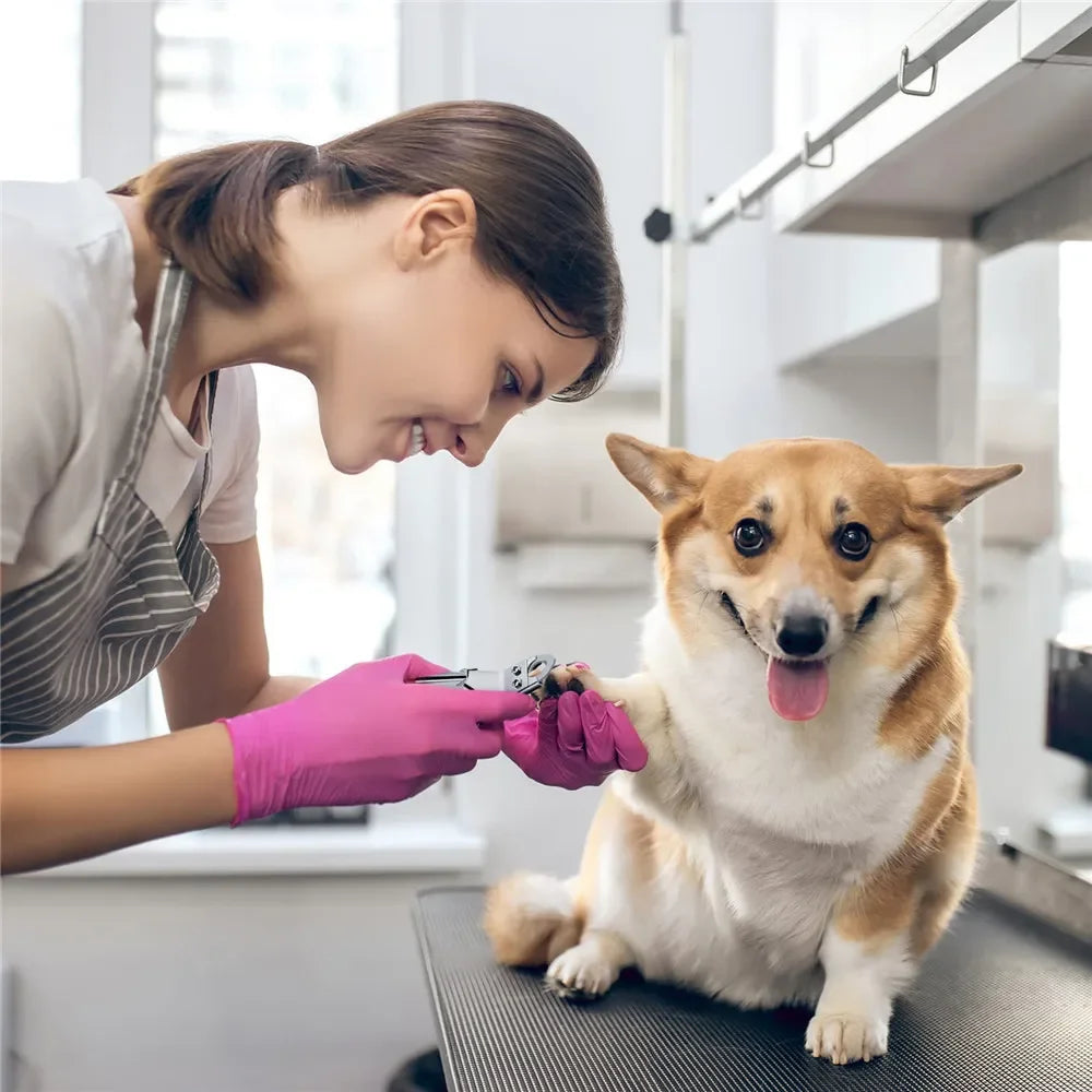 Stainless Steel Pet Nail Clipper - Dog & Cat Grooming Tool for Small to Medium Pets, Nail Care