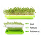 Hydroponic Microgreens Sprouter Tray - Double Layer Garden Tool for Home Nursery