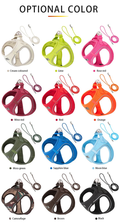 Dog Harness Leash Set Reflective Padded Vest All Seasons Outdoor Walking Gift Idea