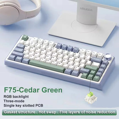 Teclado mecánico para juegos compacto AULA F75 al 75% RGB