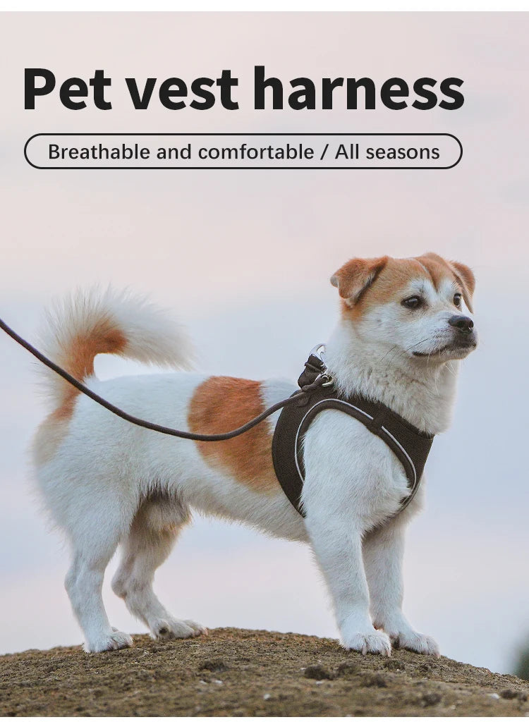 Dog Harness Leash Set Reflective Padded Vest All Seasons Outdoor Walking Gift Idea
