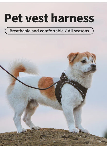 Dog Harness Leash Set Reflective Padded Vest All Seasons Outdoor Walking Gift Idea