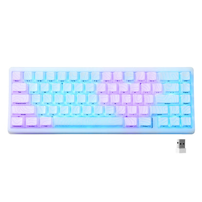 Mechanisch Toetsenbord M67 67 Toetsen Pakking Hot Swappable RGB