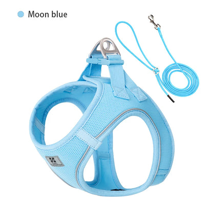 Dog Harness Leash Set Reflective Padded Vest All Seasons Outdoor Walking Gift Idea