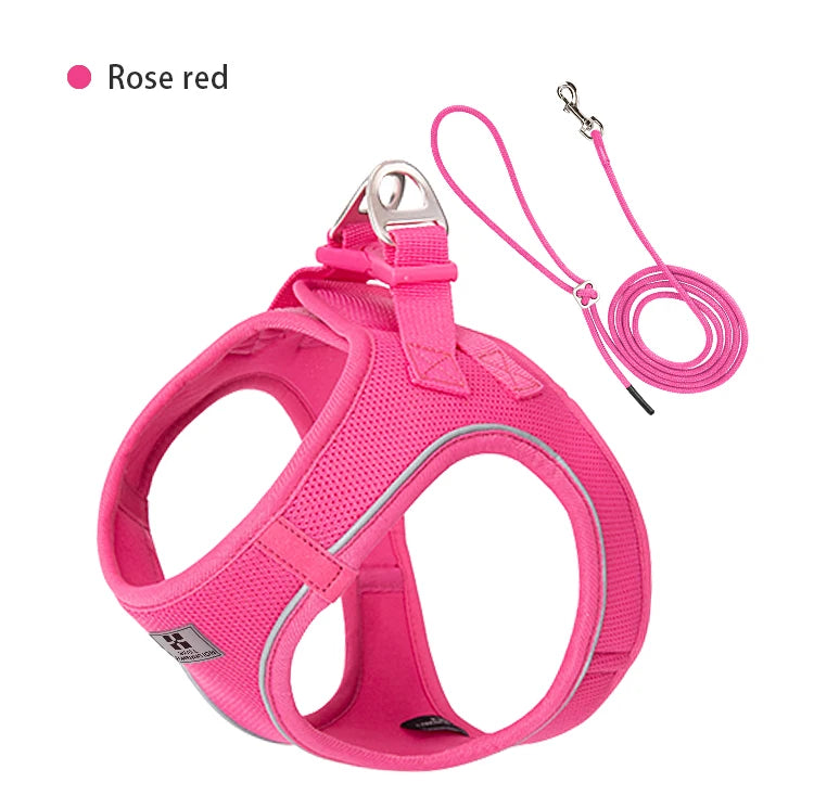 Dog Harness Leash Set Reflective Padded Vest All Seasons Outdoor Walking Gift Idea