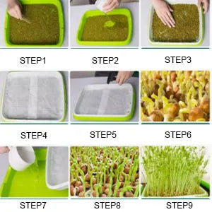 Hydroponic Microgreens Sprouter Tray - Double Layer Garden Tool for Home Nursery