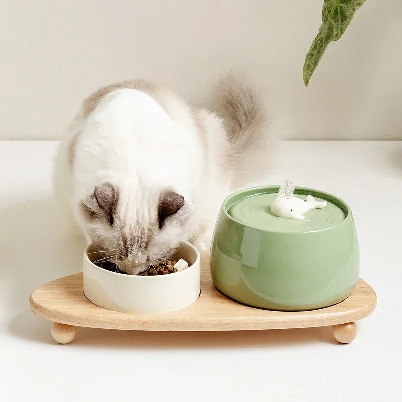 Katzen Trinkbrunnen 1300ml Keramik USB Aufladbarer Haustierbrunnen Mit Filter Und Holzständer Herbst 2025 Kontinuierliche Hydration