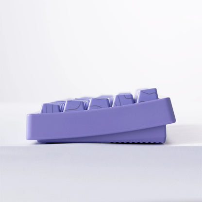 Mechanisch Toetsenbord M67 67 Toetsen Pakking Hot Swappable RGB