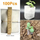 Biodegradable Non-Woven Seed Nursery Bags - 100pcs Eco-Friendly Grow Pots for Home Garden