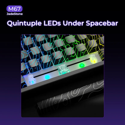 Mechanisch Toetsenbord M67 67 Toetsen Pakking Hot Swappable RGB
